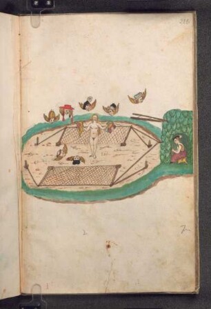 Hölle: Vogelherd