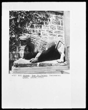 Rest vom Bauschmuck des Doms - Löwe