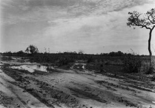 Landschaftsaufnahme : Blick über das Pantanal.