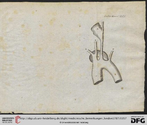 Tafel I-III