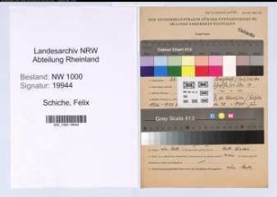 Entnazifizierung Felix Schiche, geb. 23.11.1915 (Arzt)