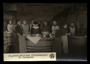 Heggbach, Pflegeanstalt
