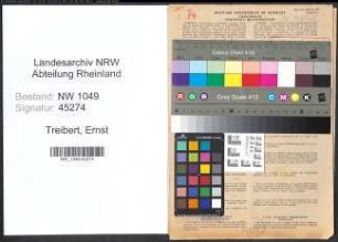 Entnazifizierung Ernst Treibert , geb. 08.10.1903 (Kaufmann)