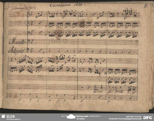 Cavatina: "Dove sei perche t'assoro"