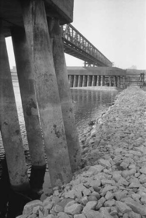 Niedrigwasser des Rheins