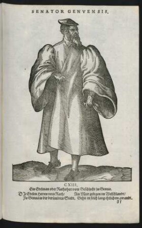 Senator Genuensis.