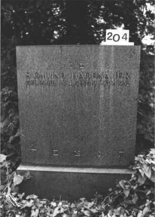 Grabstein 204 (Index: 100082117) Material: Granit Zustand: gut Maße HxBxT: 127x90x28 cm Beschreibung: rechteckige Stele, Sockel: Grabstein 204