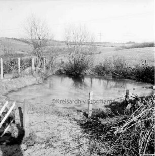Dorfteich: vorn und hinten Zaun: am Ufer Weiden und Sträucher: hinten Knicklandschaft