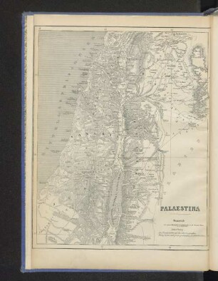 Palaestina