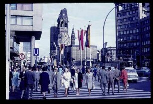 Am Zoo 3.7.65.