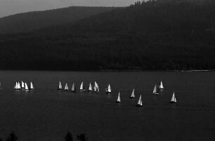 Segelregatta auf dem Schluchsee
