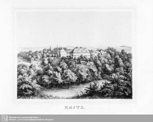 Kaitz