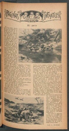 El pato : Páginas infantiles