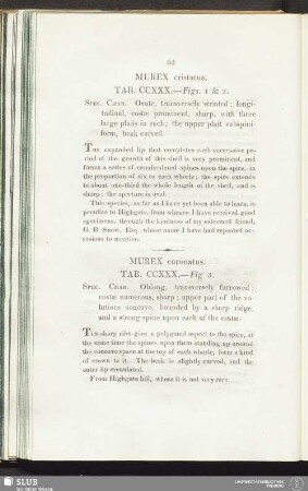 Murex cristatus. Tab. CCXXX. — Figs. 1 & 2