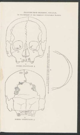 Cranium from Progreso, Yucatán in the Library of the American Antiquarian Society. : 3. Norma Frontalis - 4. Norma Occipitalis - 5. Cross section through cranium