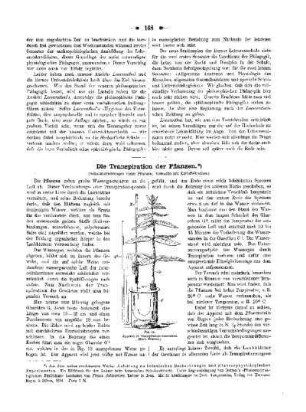 Die Transpiration der Pflanzen