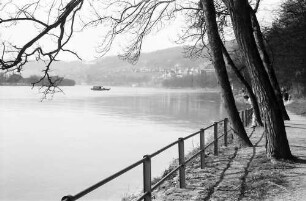 Waldshut: Rheinpromenade