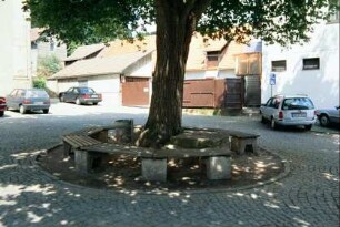 Sitzbänke um die Dorflinde auf dem Platz vor der Kirche