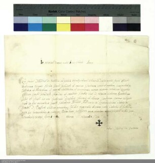 Profess des Frater Placidus von Bastheim aus Würzburg