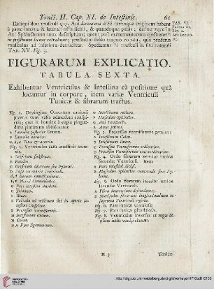 Figurarum explicatio: Tabula sexta