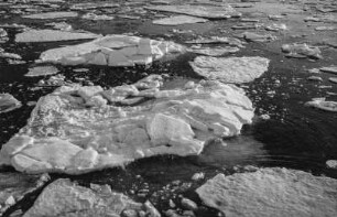 Eisschollen (HSDG-Spitzbergenfahrt der Monte Cervantes Leonhardt 1928)