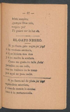 El gato negro.