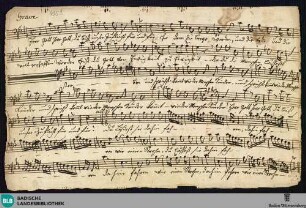 Herr Gott du bist unsre Zuflucht. Fragments - Mus. Hs. 435b : BrinzingMWV 1.33