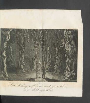 Tafel: Das Wasser auflösend und gestaltend. Die Adelsberger Höhle.
