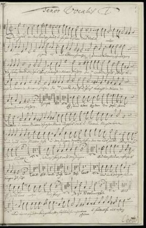 Tenor Vocalis 1