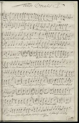 Tenor Vocalis 1