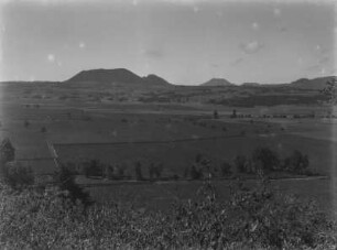 Landschaftsblick : Blick über Felder und einzelne Bäume.