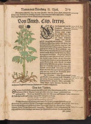 Von Attich, Cap. LXXXVI