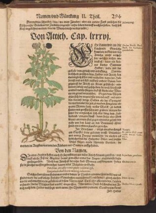 Von Attich, Cap. LXXXVI