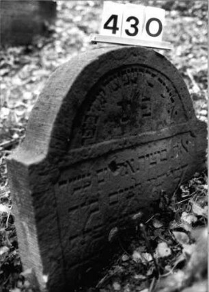 Grabstein 430 (Index: 99803698) Material: Sandstein Zustand: tief eingesunk/Textverlust Maße HxBxT: 55x66x10 cm Beschreibung: Stele mit Karniesbogen und profiliertem Rand, Giebelfeld: Grabstein 430