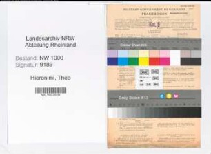 Entnazifizierung Theo Hieronimi, geb. 19.08.1908 (Verw.Angest.)