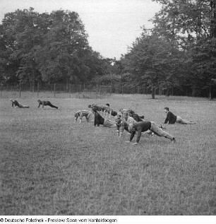 Verschiedene Sportarten; Ankunft der Olympioniken; Training Dynamo; Veteranenralley