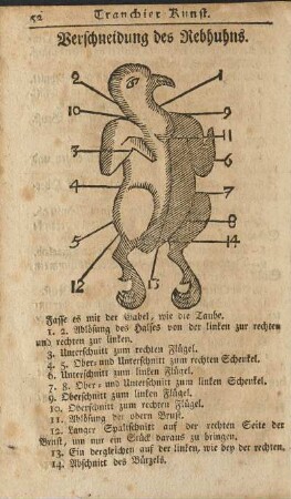 Beschneidung des Rebhuhns.