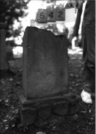 Grabstein 542