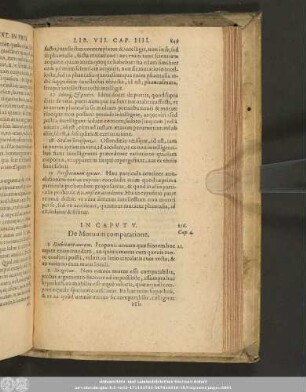 In Caput V. De Motuum comparatione.