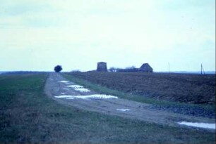 Blick zur alten Windmühle von Osten, die außherhalb der OL liegt