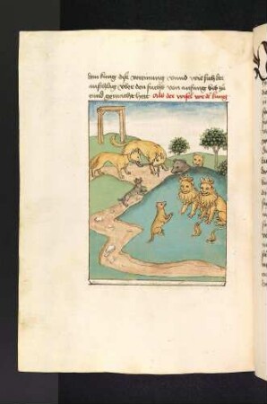 Der Fuchs mit dem Wolf vor dem Galgen; der Wiesel bittet beim Löwenkönig für den Fuchs um Gnade; (Kapitel XII: Von dem Löwen und dem Fuchs).