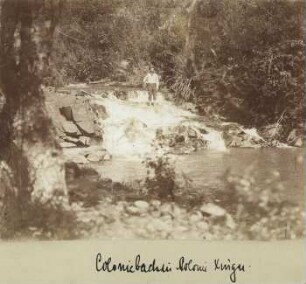 Koloniebach in der Kolonie Xingu