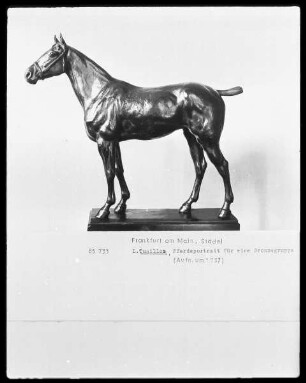 Pferdeportrait aus einer Bronzegruppe