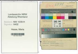 Entnazifizierung Maria Hesse , geb. 09.11.1911 (Angestellte)