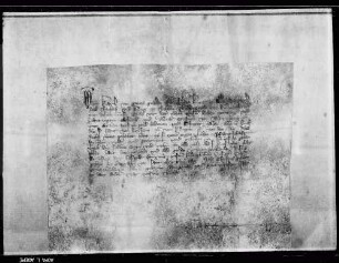 König Karl IV. bestätigt den Grafen Eberhard II. und Ulrich IV. alle Briefe von Kaisern und Königen.