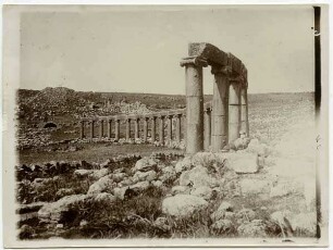 Teil des Forums in geras [Gerasa]