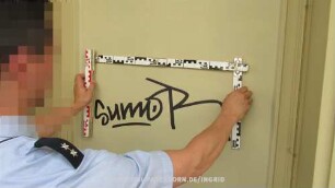 SumoR