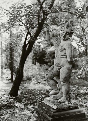 Putto