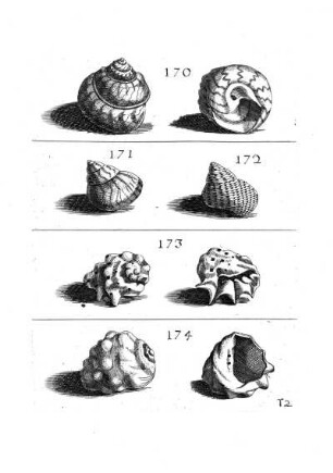 170. - 174.