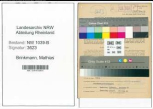 Entnazifizierung Mathias Brinkmann , geb. 22.01.1909 (Bankangestellter)